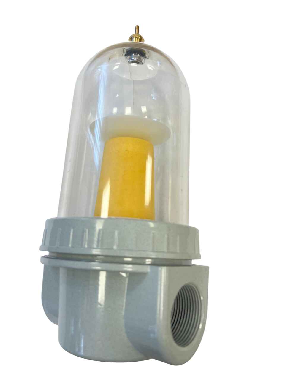 WhatsApp Image 2024-12